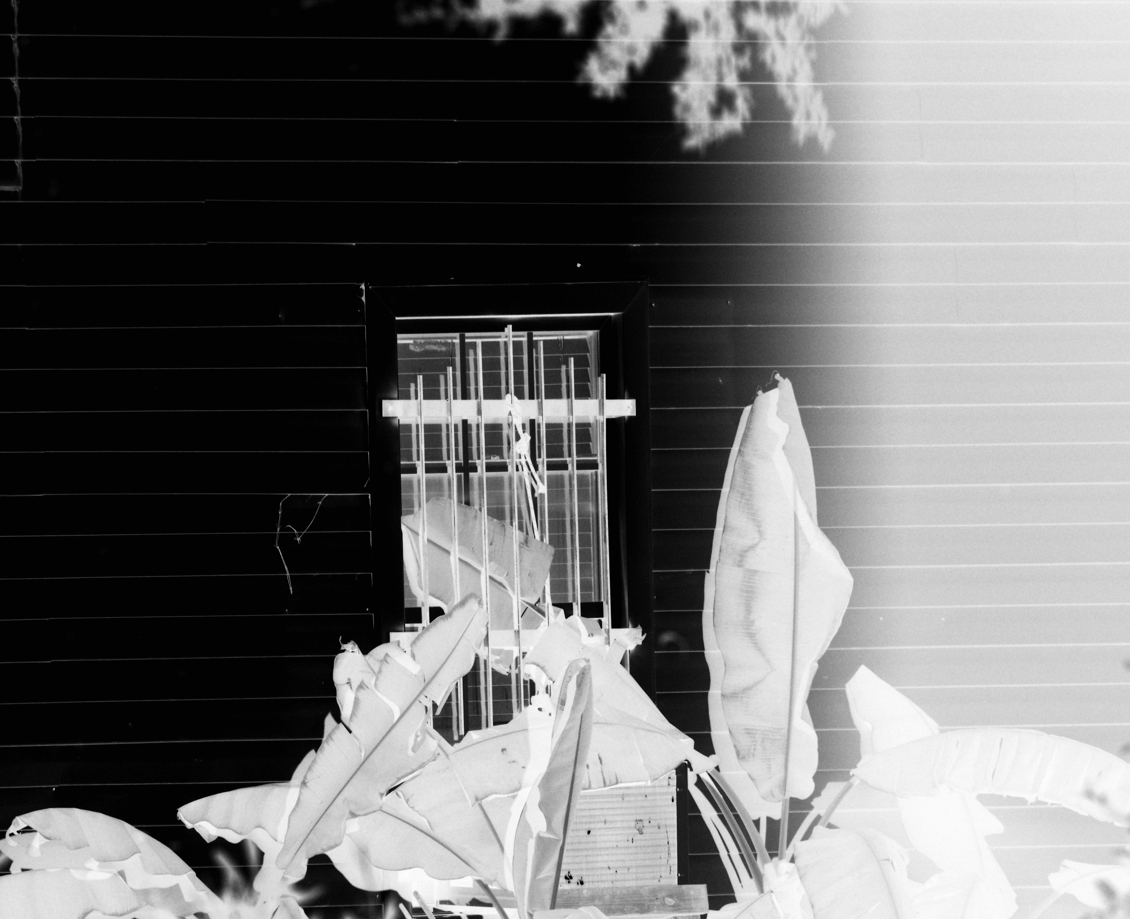 this is what happens when you die having let no one in