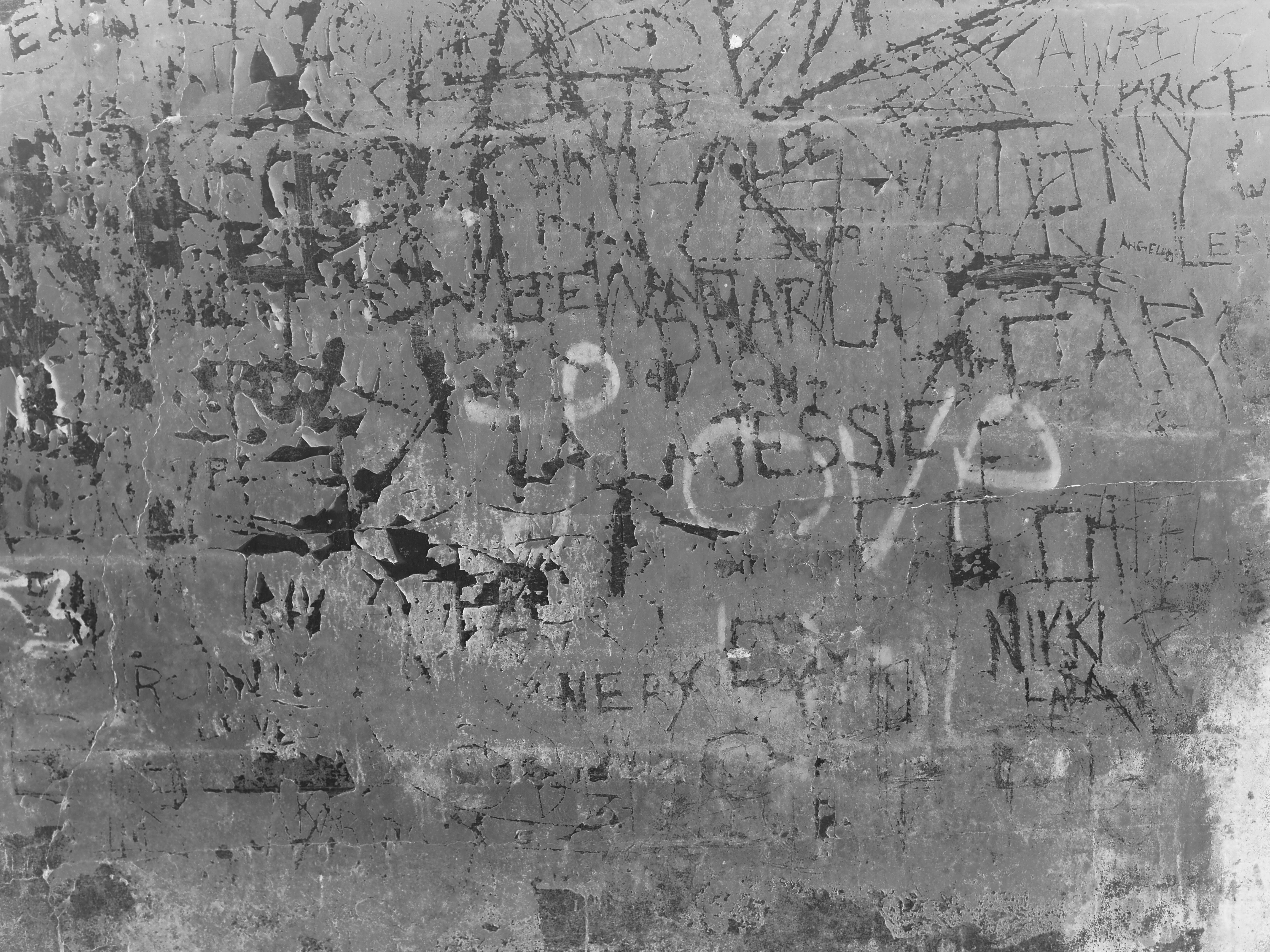 in your dreams you have many friends and everyone loves you