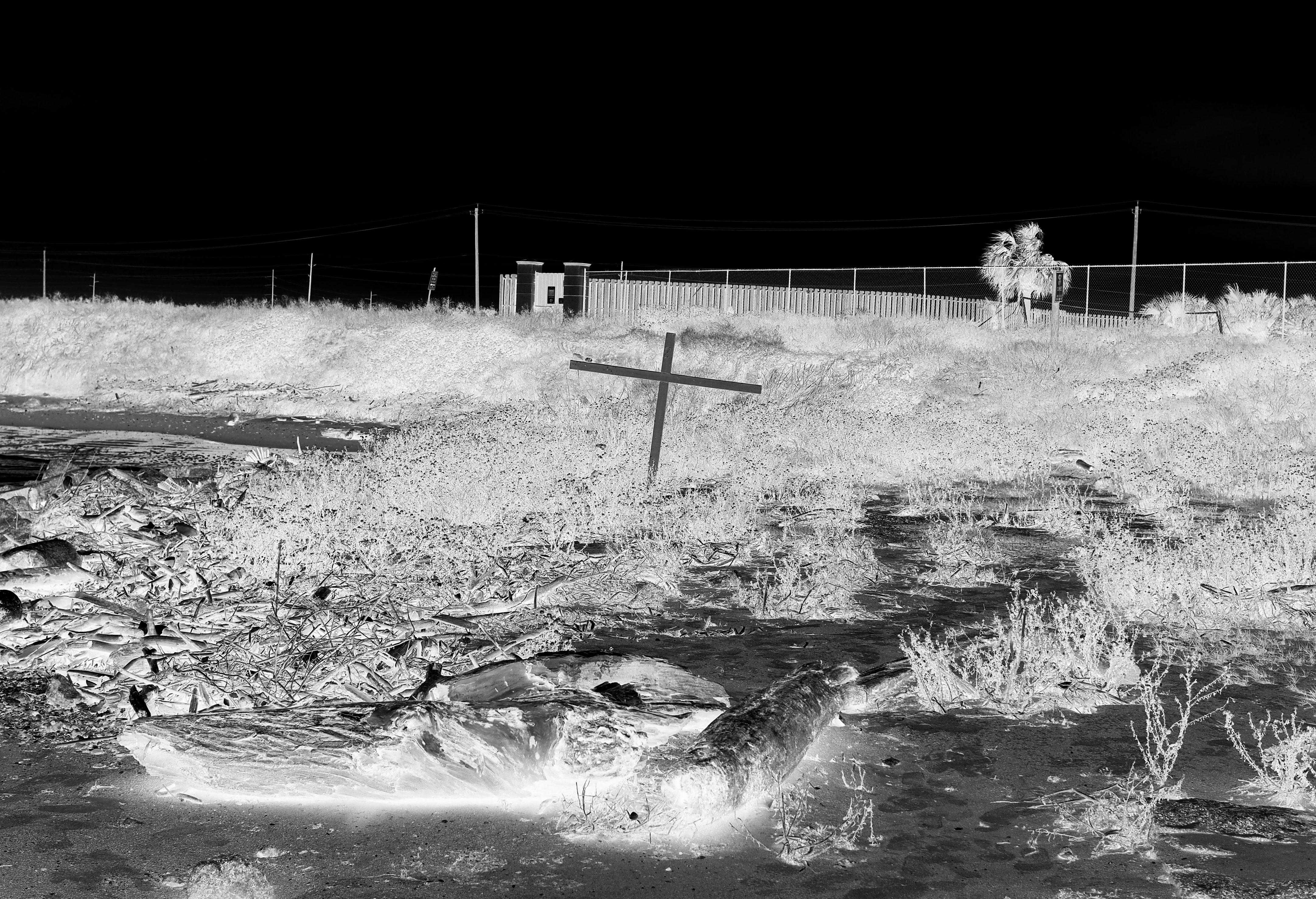 approaching the beach