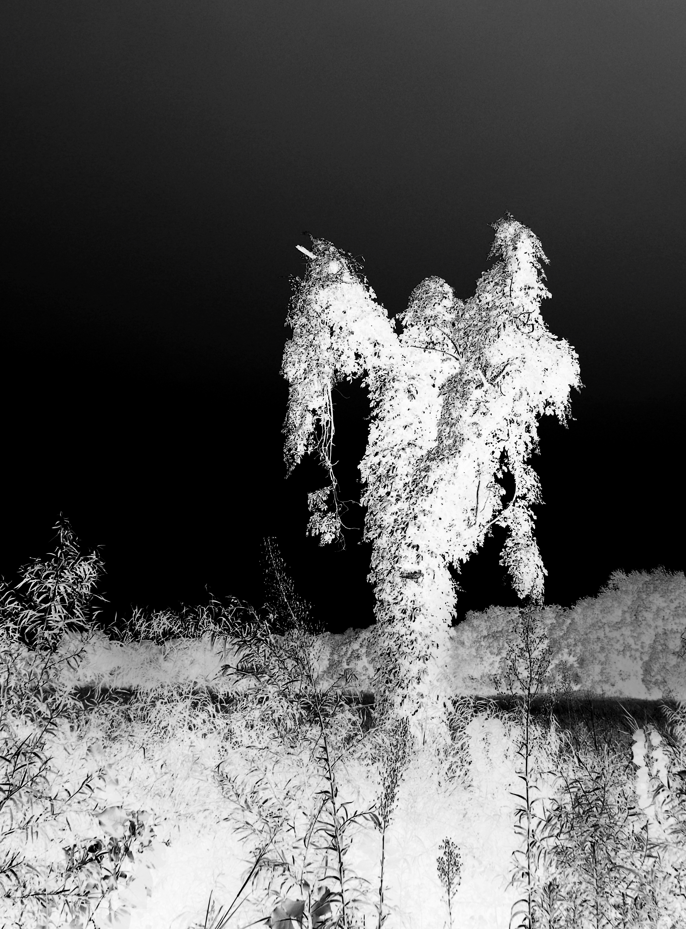 your face reminds me of someone