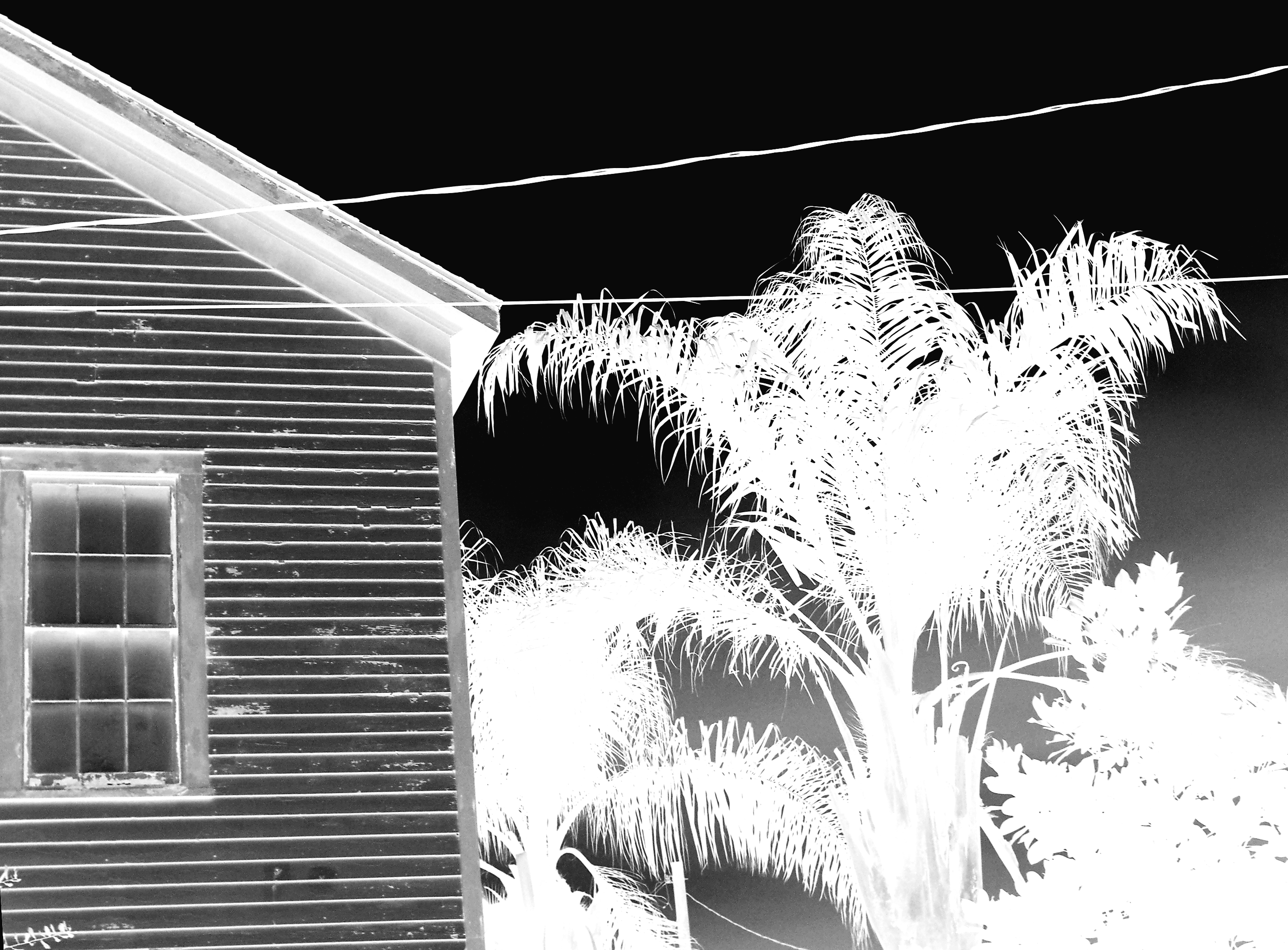 making up false memories so that the past can hurt a little less