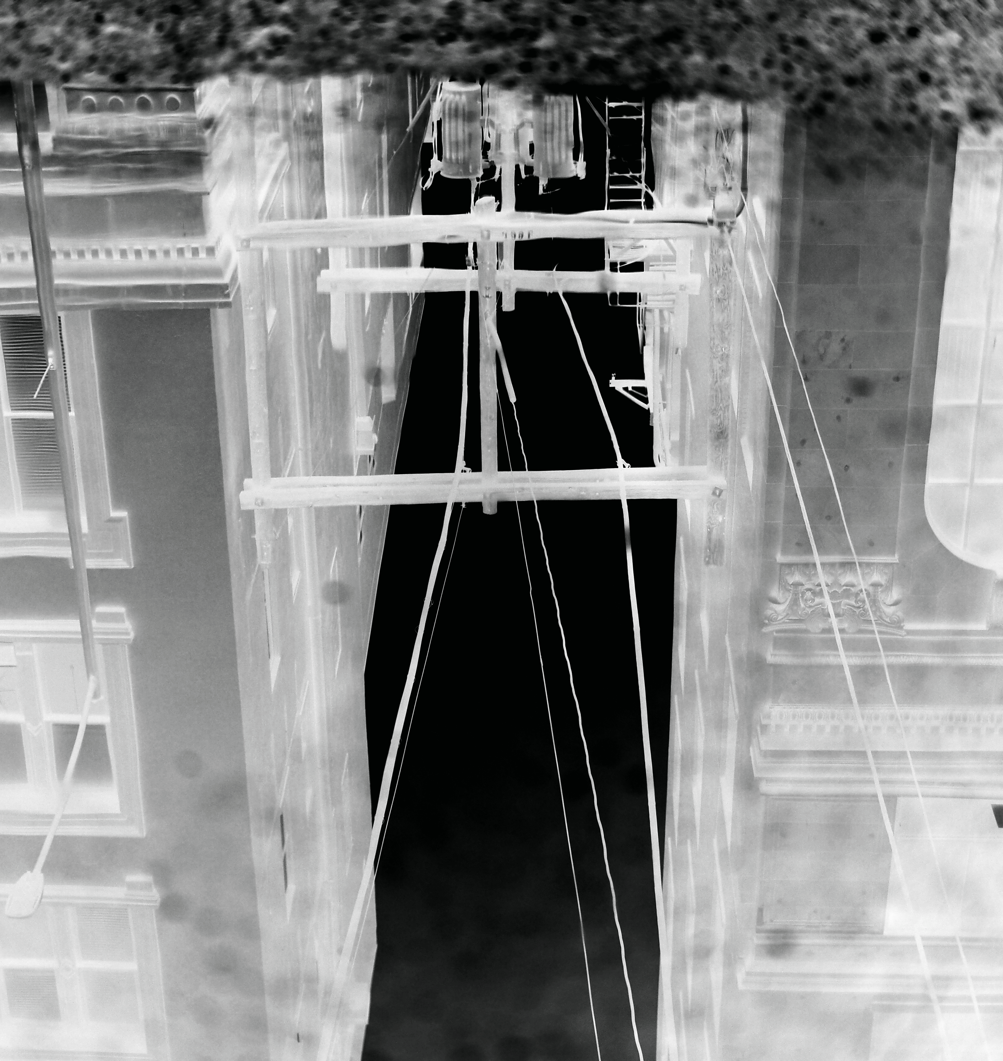 nothing will be able to save you once the silence reaches your blood