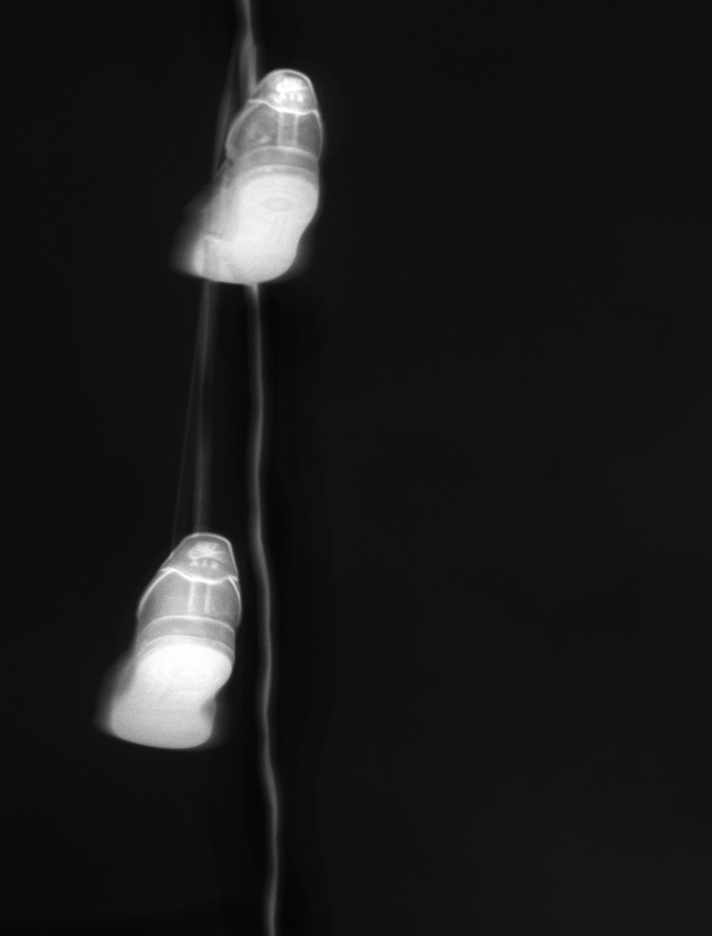 i tried to get raptured but my shoes caught on the telephone wire