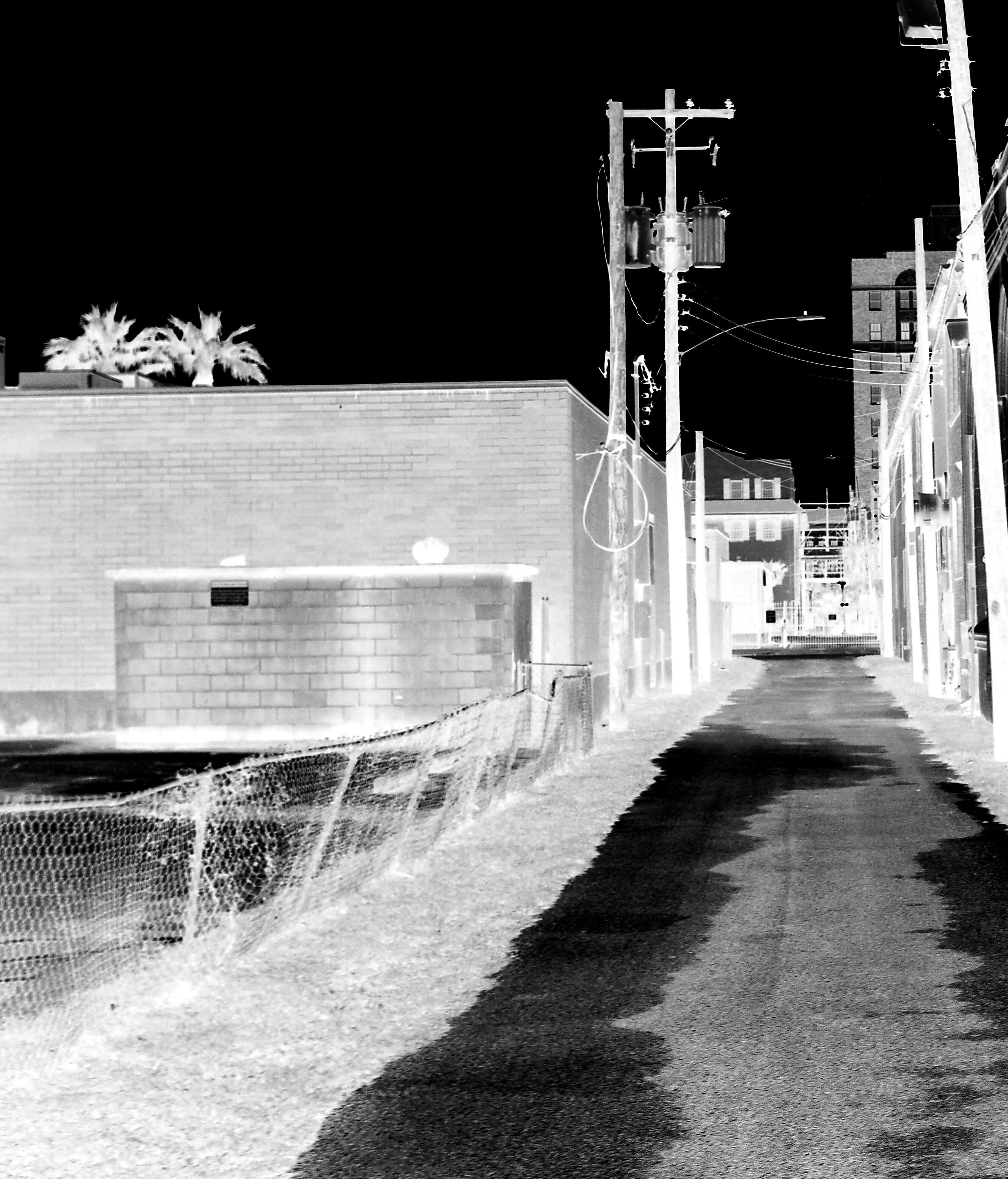 you were alone this whole time