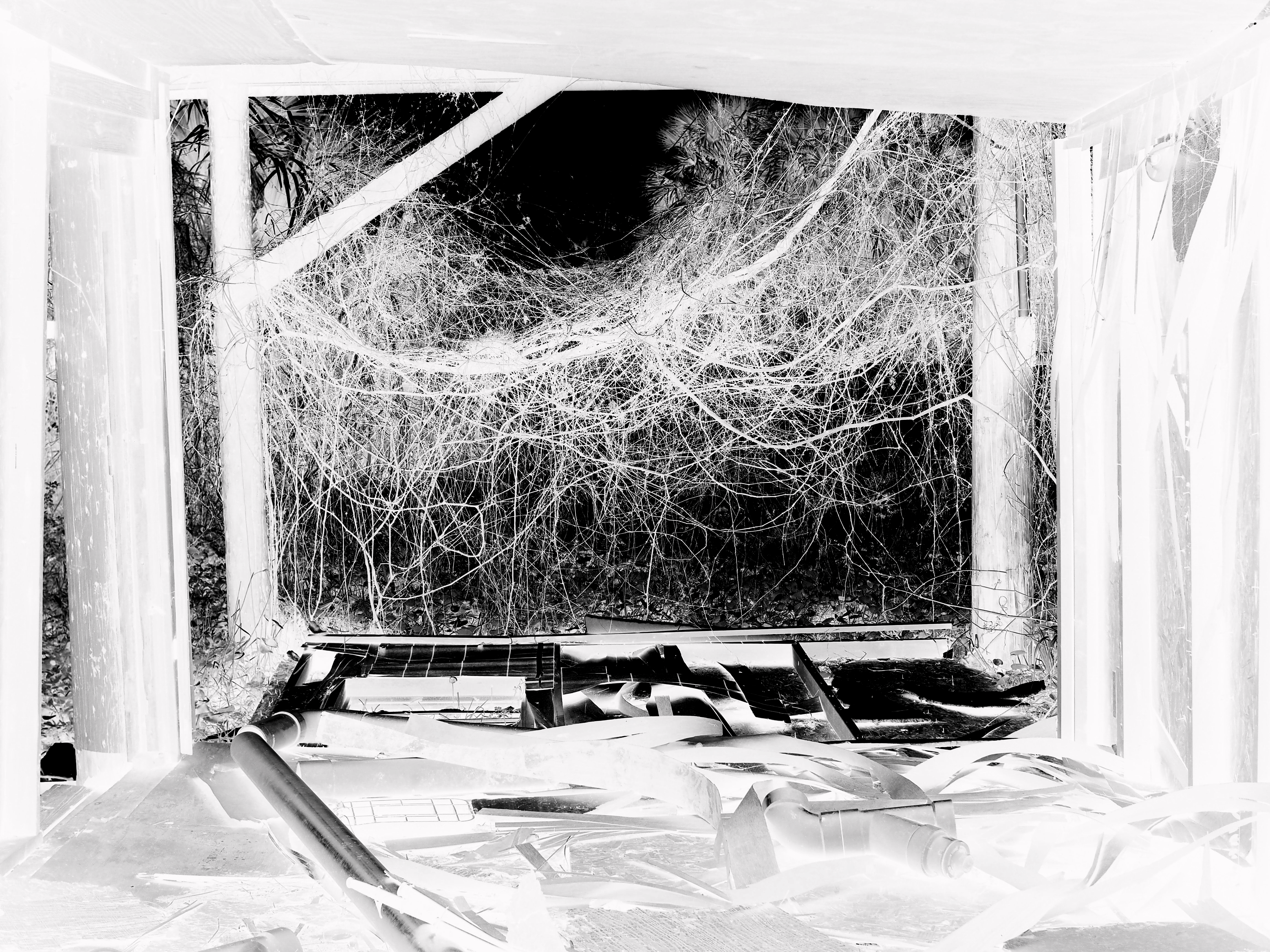 ignore those who once slept above you