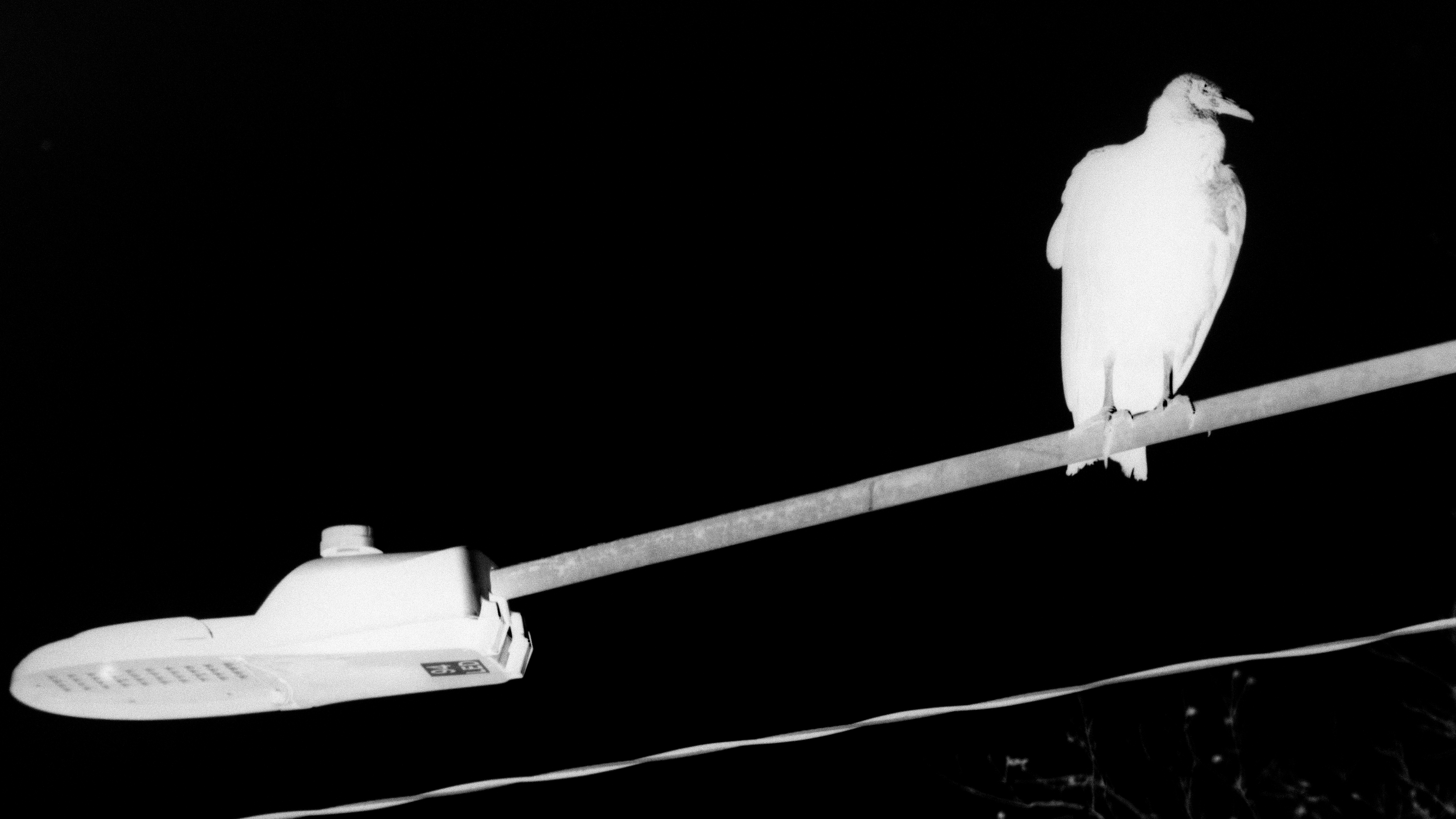 keep begging god; eventually he'll listen