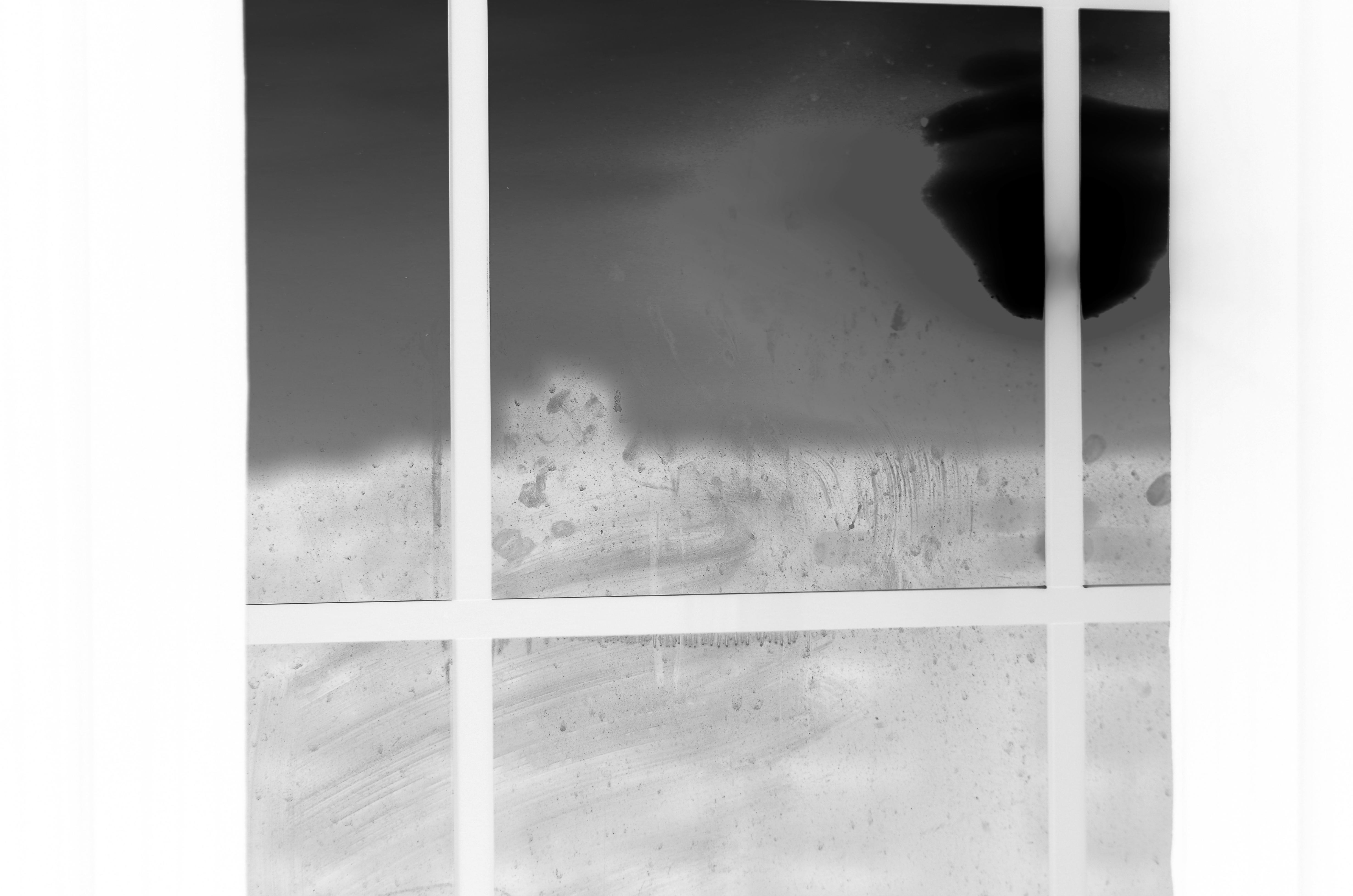 the ashes of the sun